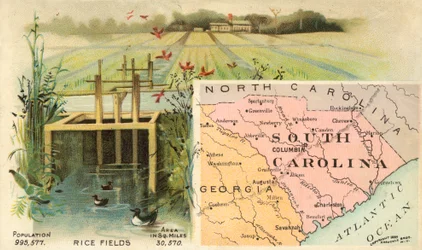 South Carolina, USA